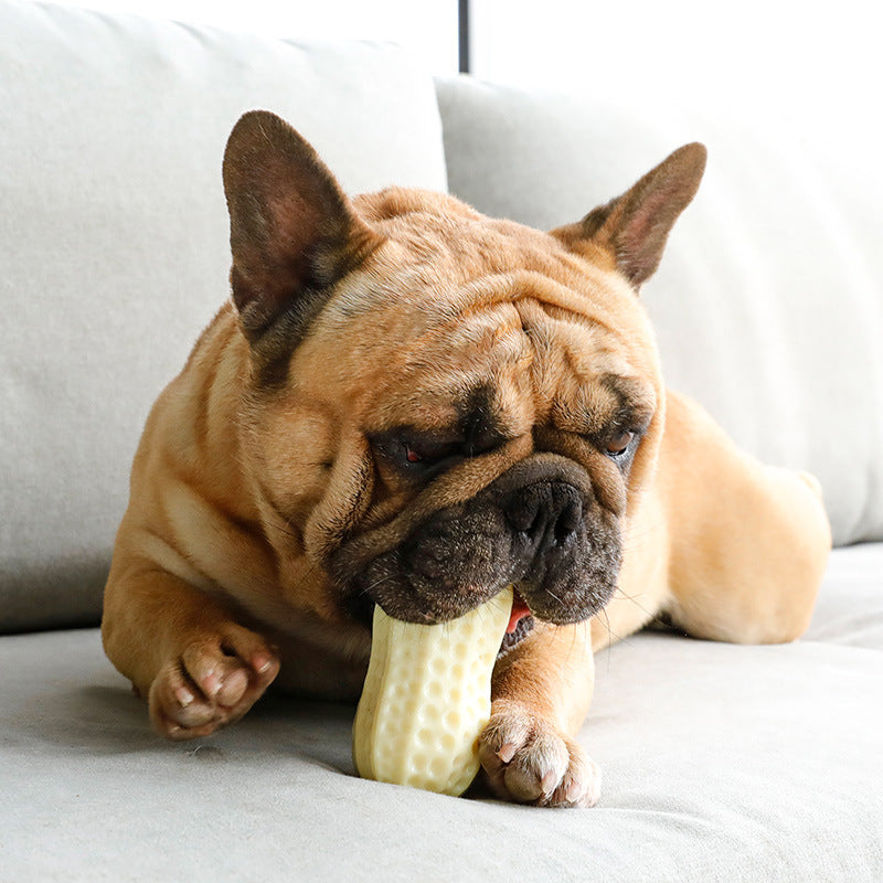 Durable Squeaky Peanut Chew Toy For Dogs