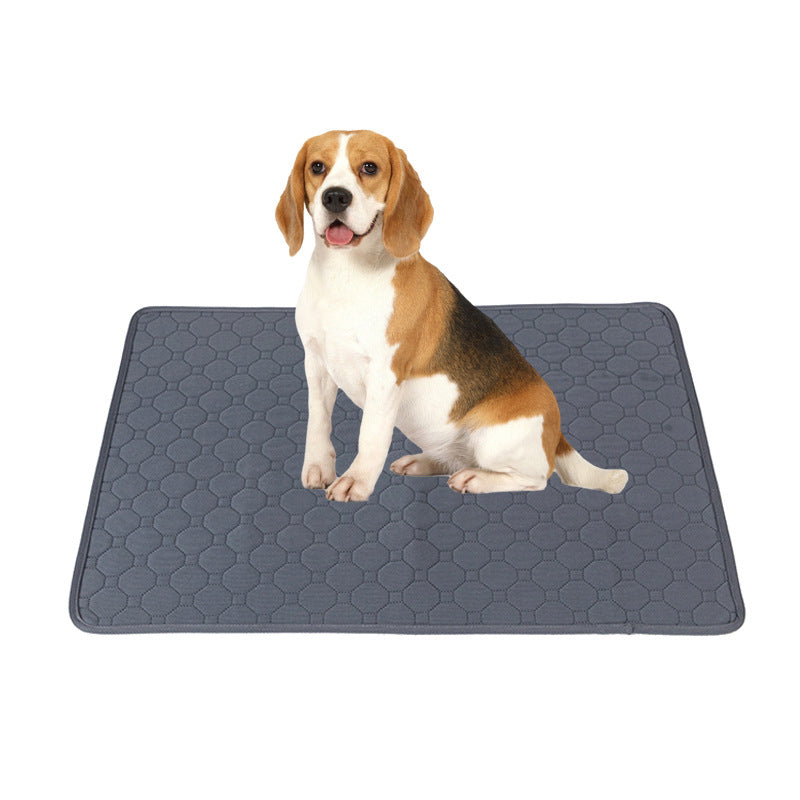 Ultra-Absorbent Dog Pee Pad – Thickened, Odor-Control & Leakproof