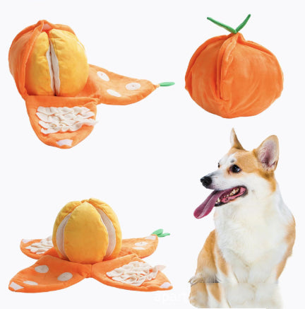 Orange Hide and Seek Plush Dog Toy